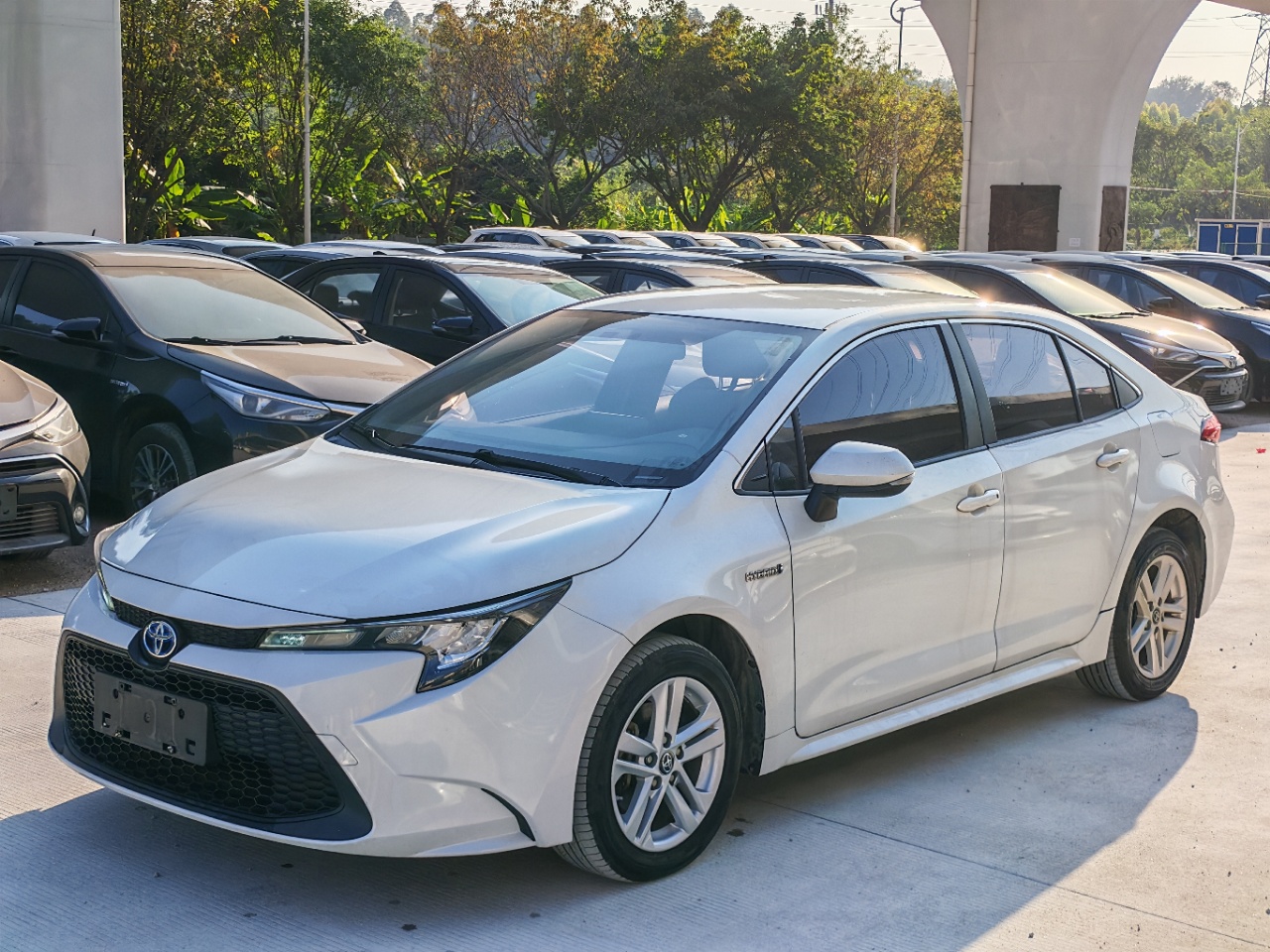 丰田 2020 1.8L-自动-油电混合
