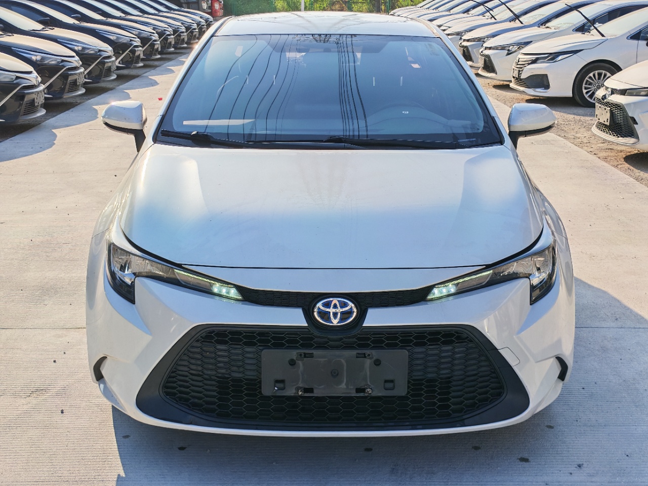 丰田 Levin Hybrid 2020 1.8L-自动-油电混合 thumbnail 2