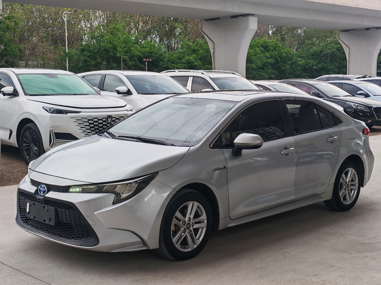 丰田 2020 1.8L-自动-油电混合