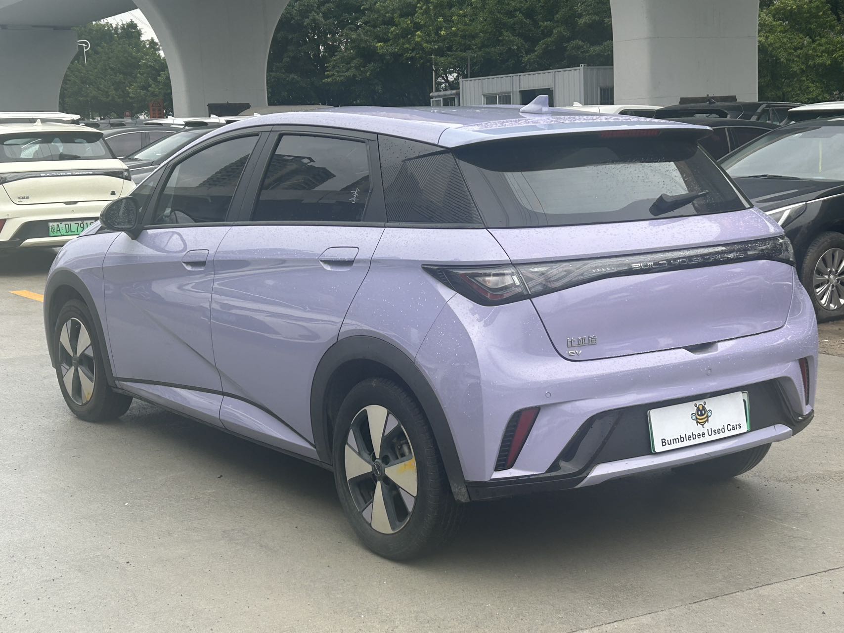 比亚迪 dolphin 2023 fully electric-自动-纯电动 thumbnail 7
