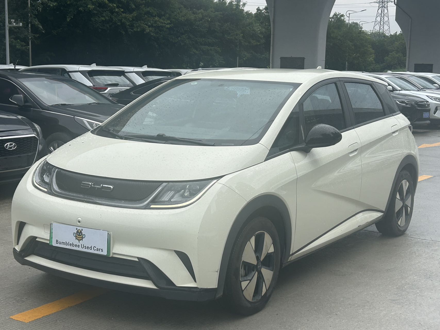 比亚迪 dolphin 2023 fully electric-自动-纯电动 - Image 1