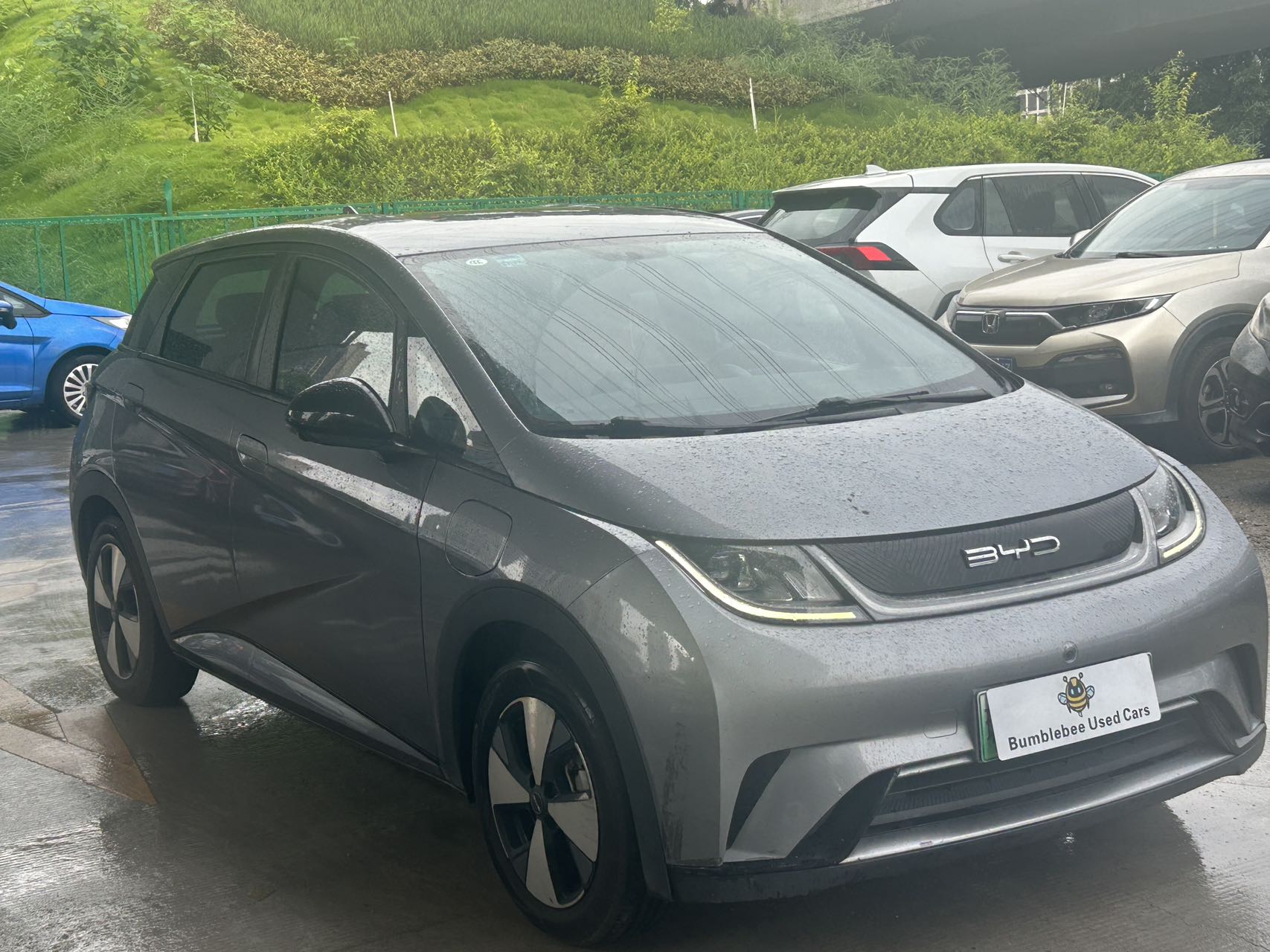 比亚迪 dolphin 2023 fully electric-自动-纯电动 thumbnail 3