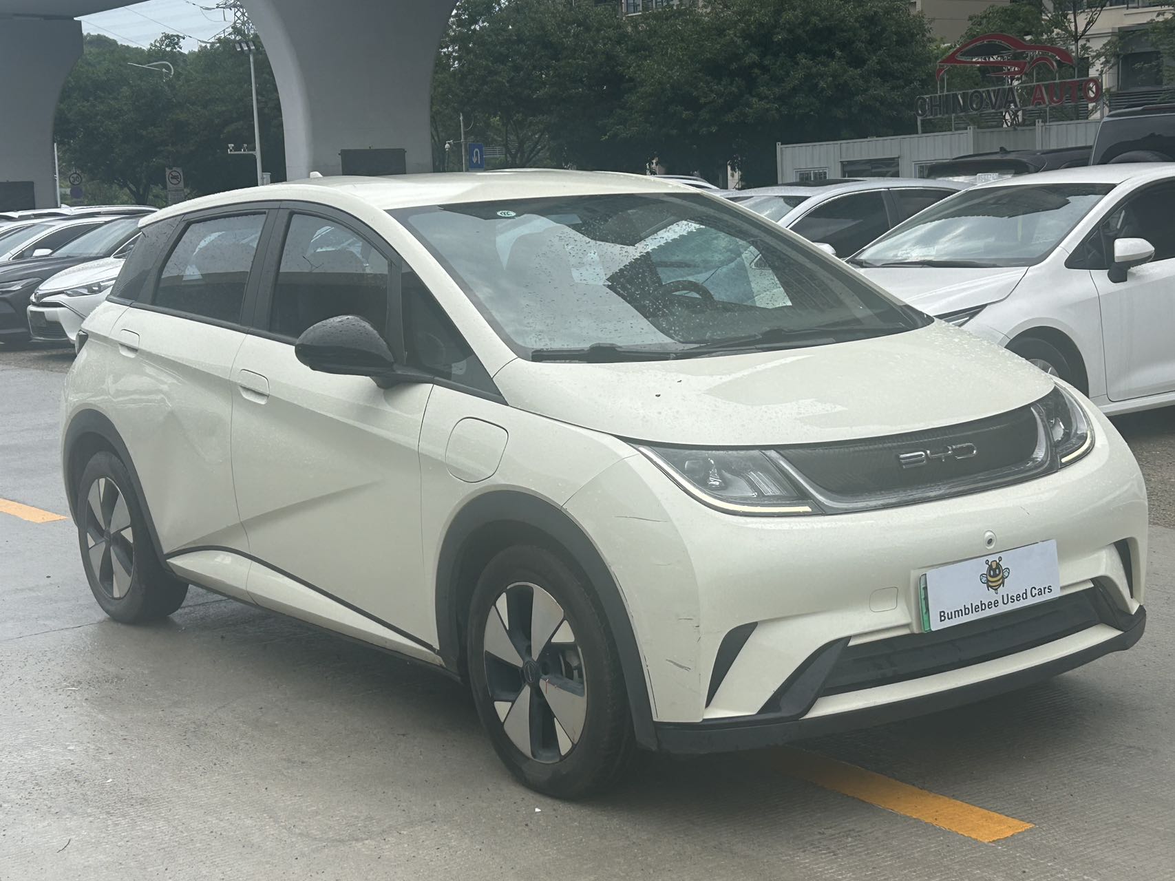 比亚迪 dolphin 2023 fully electric-自动-纯电动 thumbnail 4