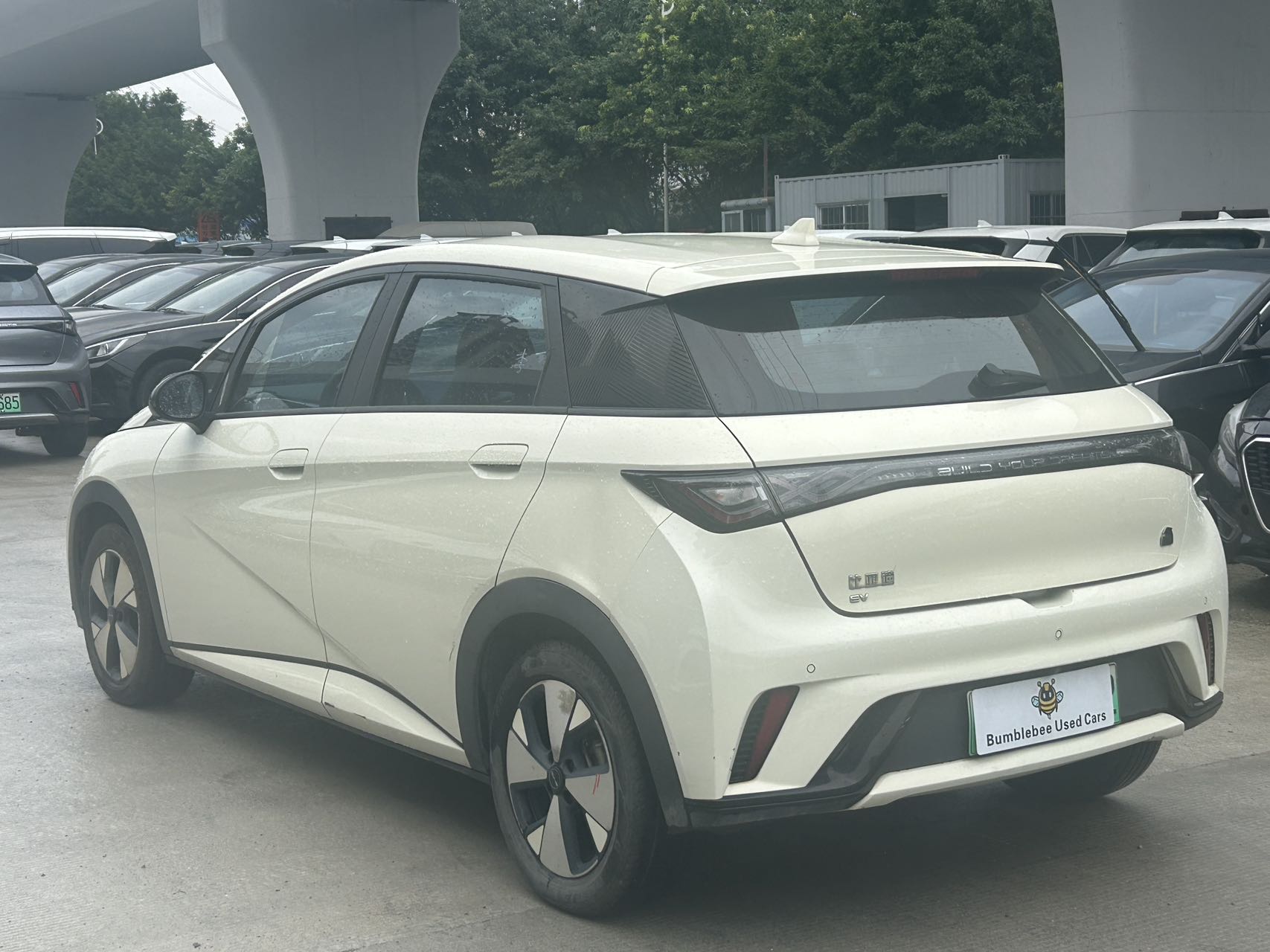 比亚迪 dolphin 2023 fully electric-自动-纯电动 thumbnail 6