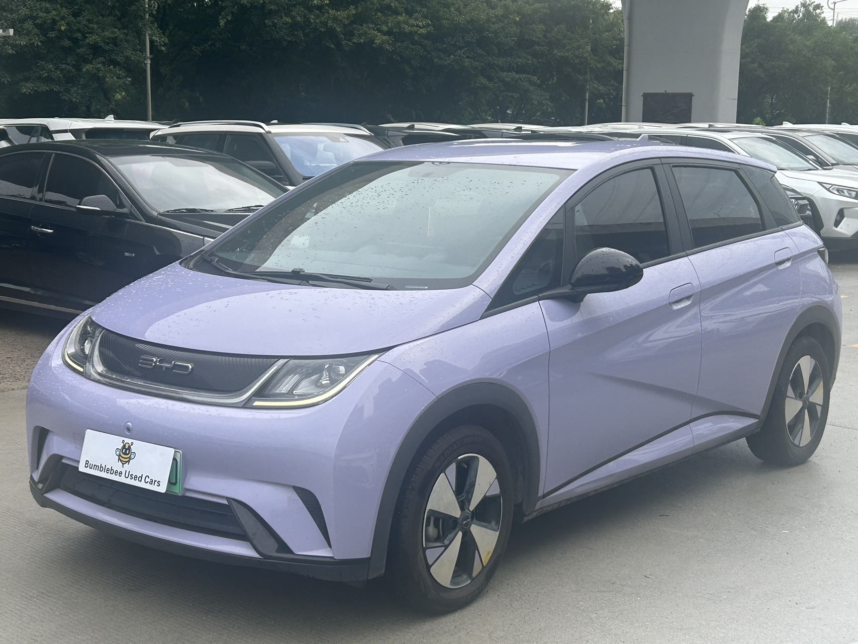 比亚迪 dolphin 2023 fully electric-自动-纯电动 - Image 1