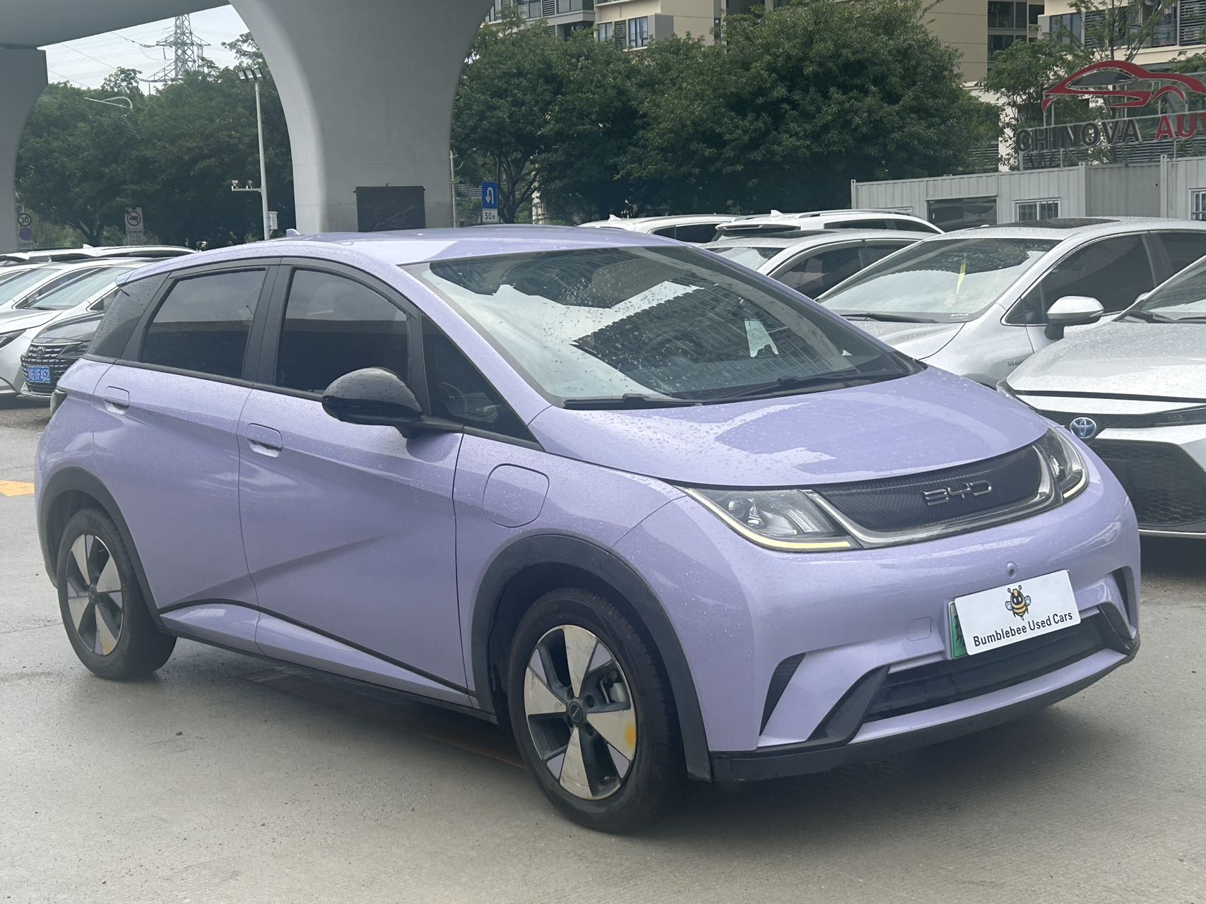 比亚迪 dolphin 2023 fully electric-自动-纯电动 thumbnail 4