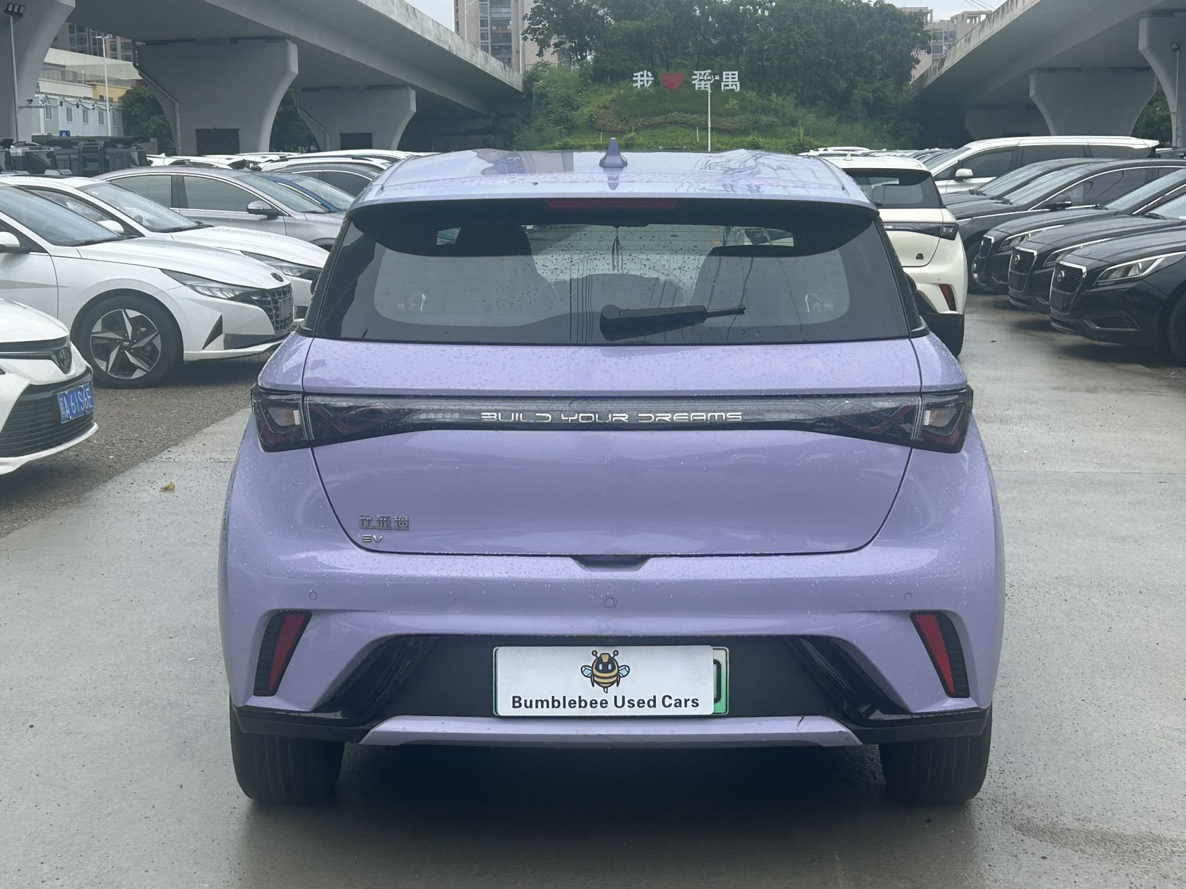 比亚迪 dolphin 2023 fully electric-自动-纯电动 thumbnail 6