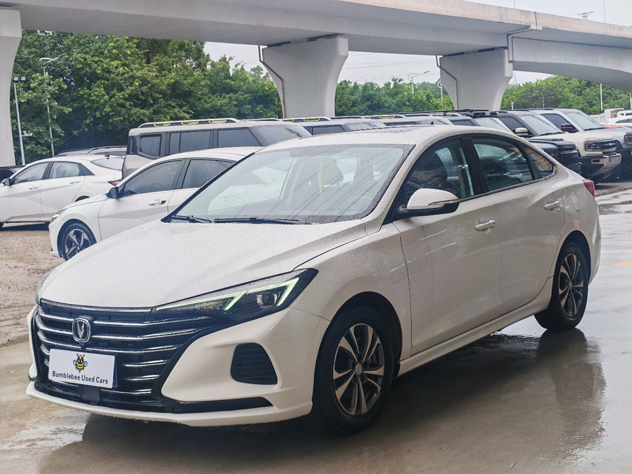 长安 Eado Plus 2023 1.6L-自动-汽油 - Image 1