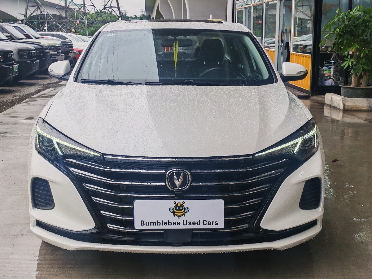 长安 Eado Plus 2023 1.6L-自动-汽油 thumbnail 2