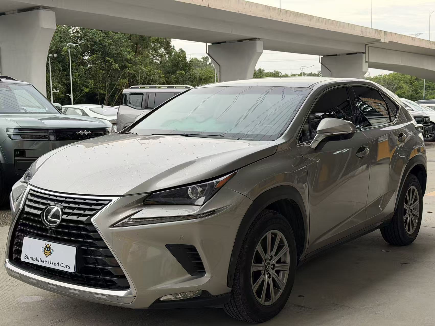 雷克萨斯 NX 200 2020 2.0L-自动-汽油 - Image 1