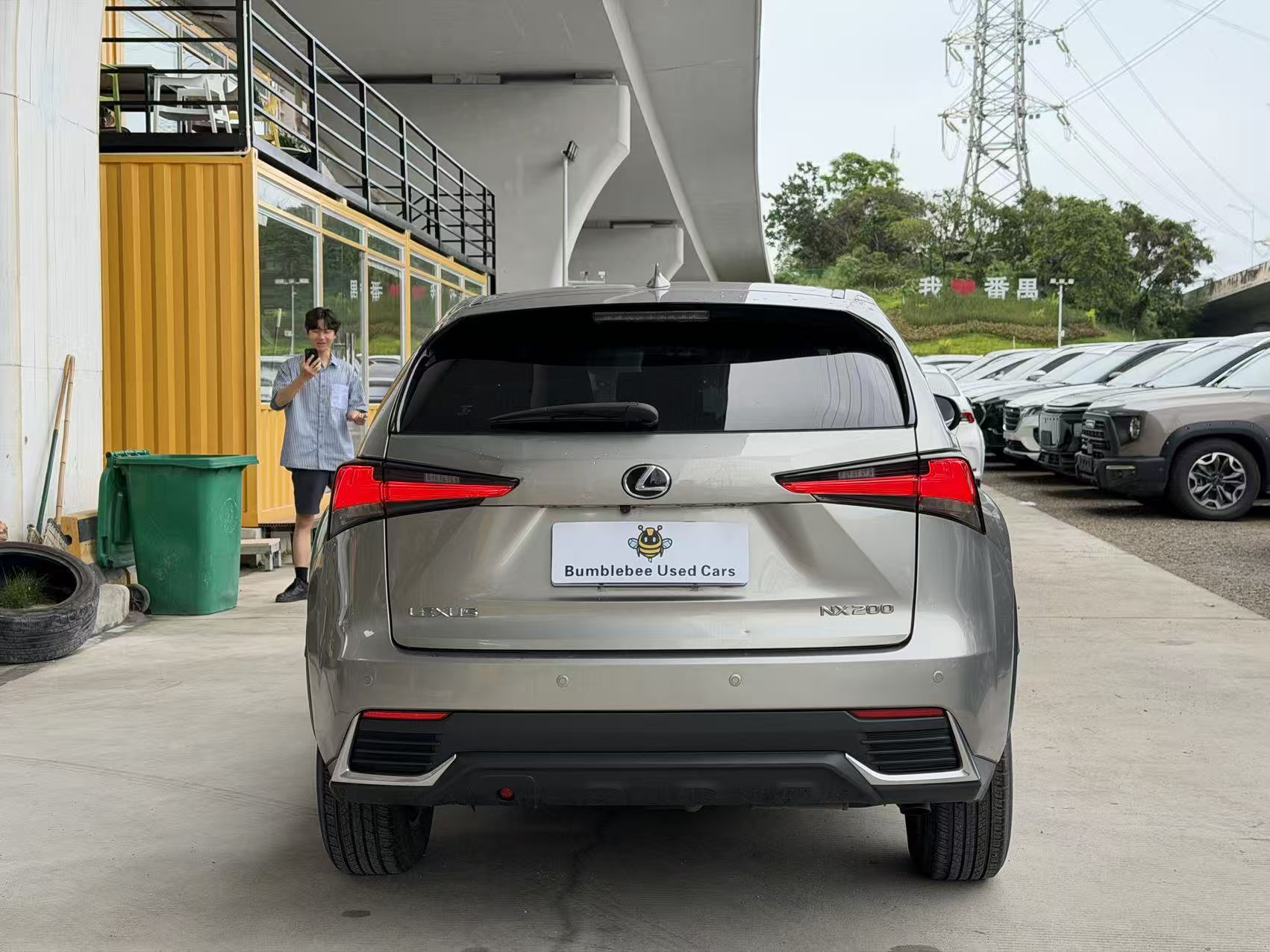 雷克萨斯 NX 200 2020 2.0L-自动-汽油 thumbnail 8