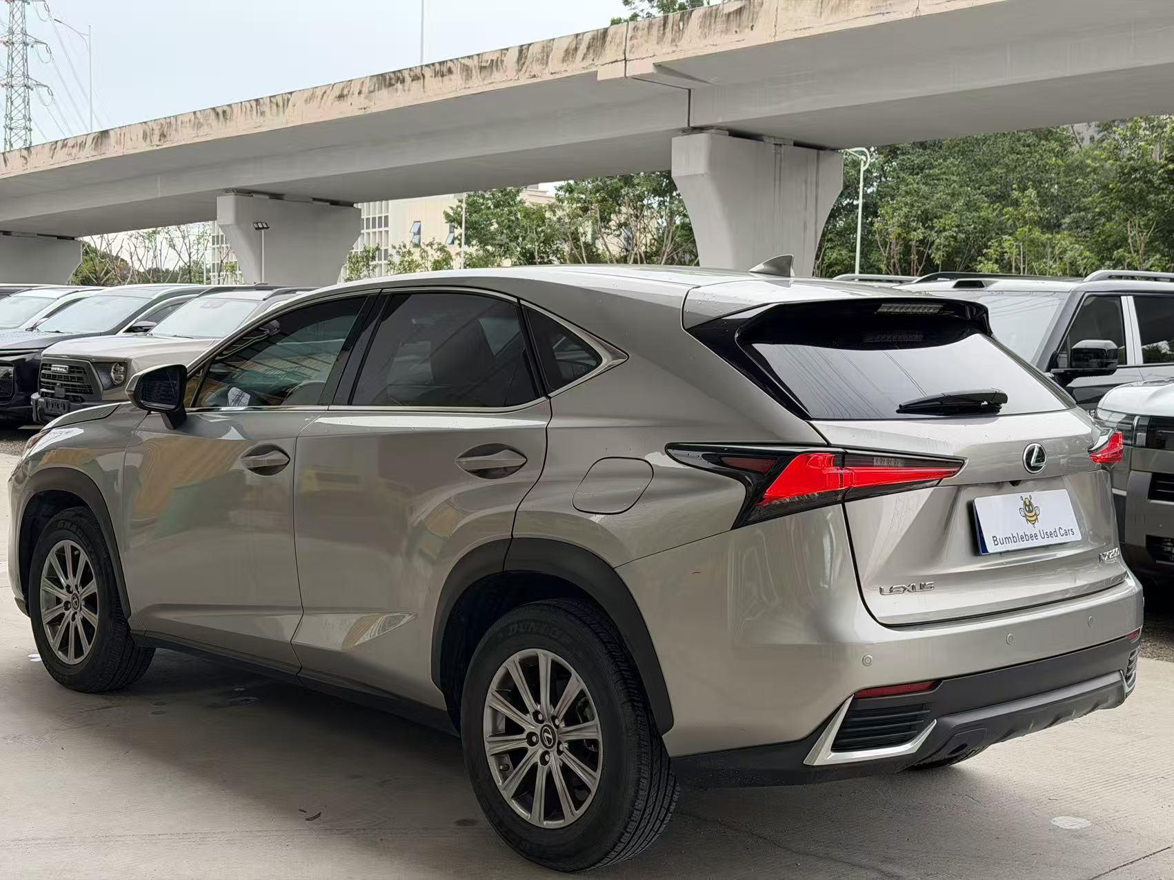 雷克萨斯 NX 200 2020 2.0L-自动-汽油 thumbnail 9